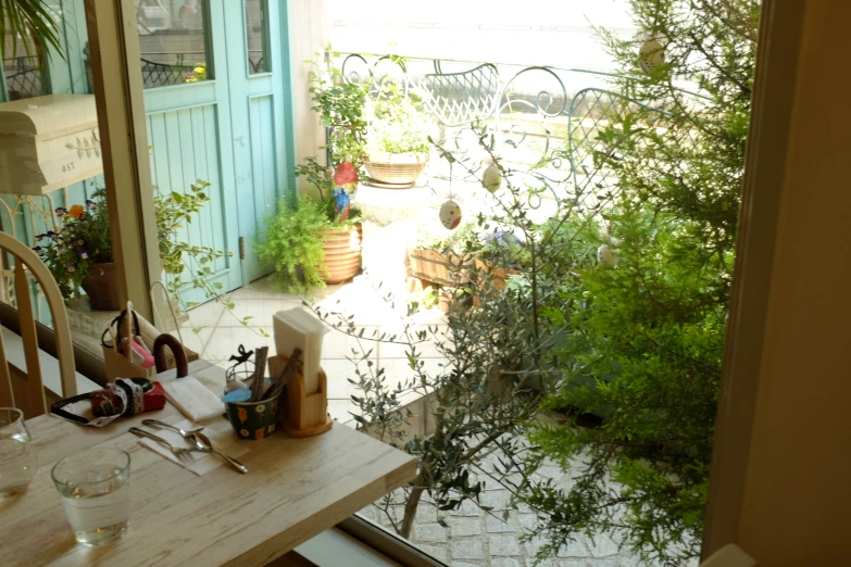 an outdoor patio covered in plants and herbs