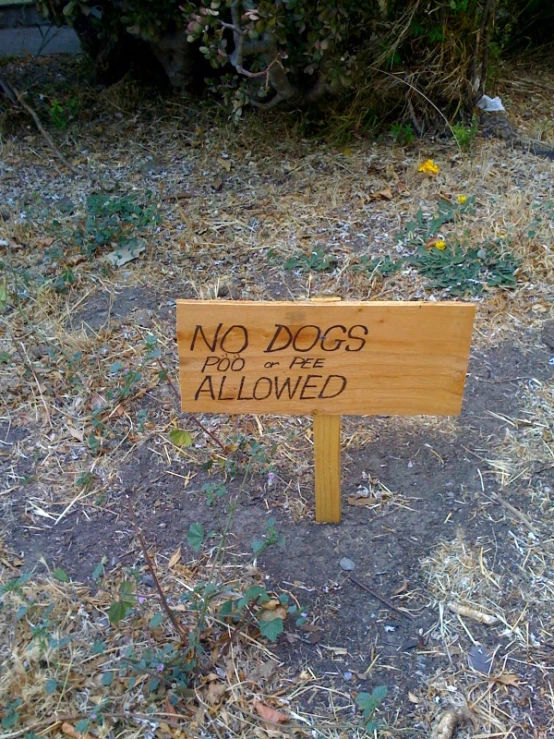 a no dogs allowed sign is seen in this undatness