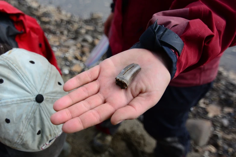 a person holds onto a small piece of metal in their hand