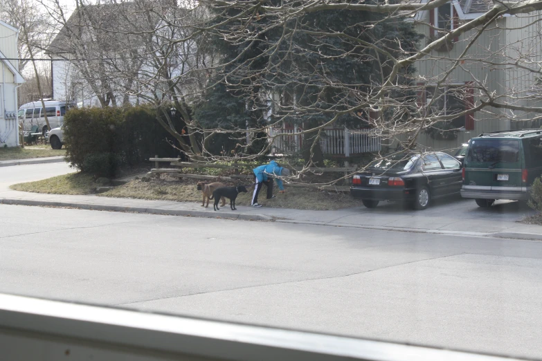 a man is walking his dog across the street