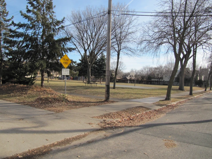 an empty street next to a few trees