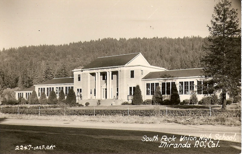 black and white image of a building that has a tree on top of it