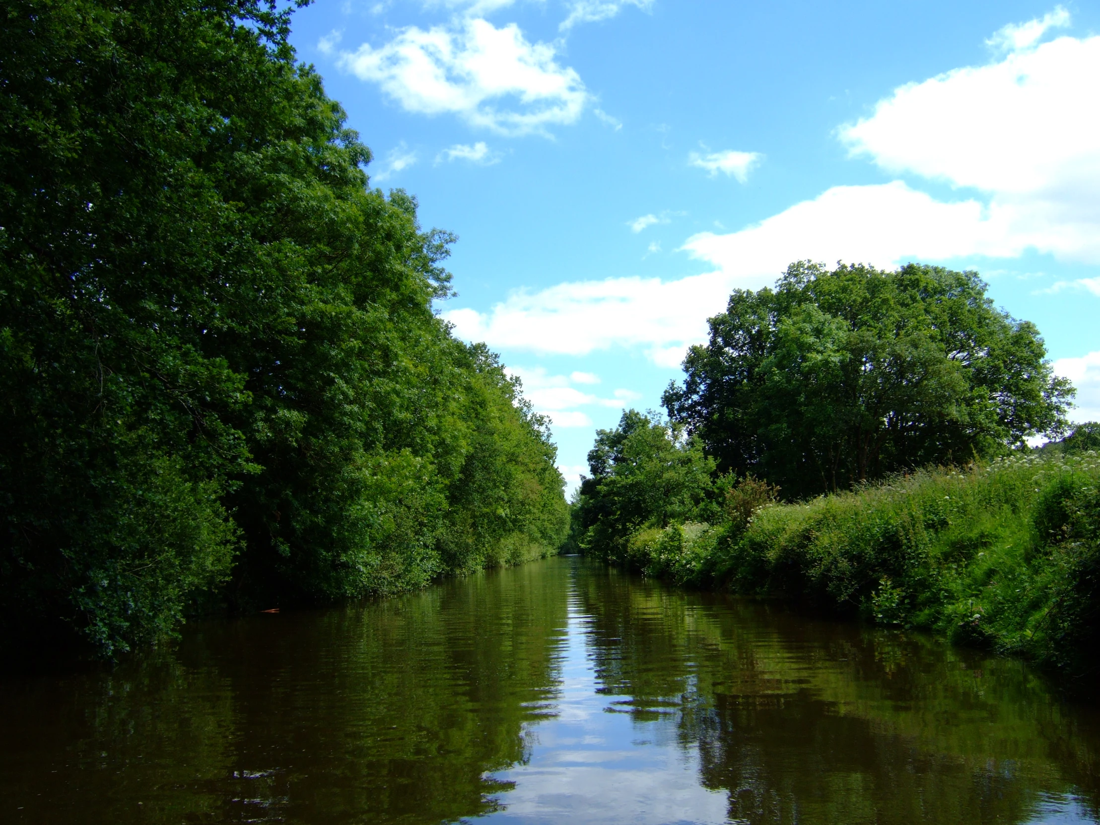 there are many trees along the water and the sky