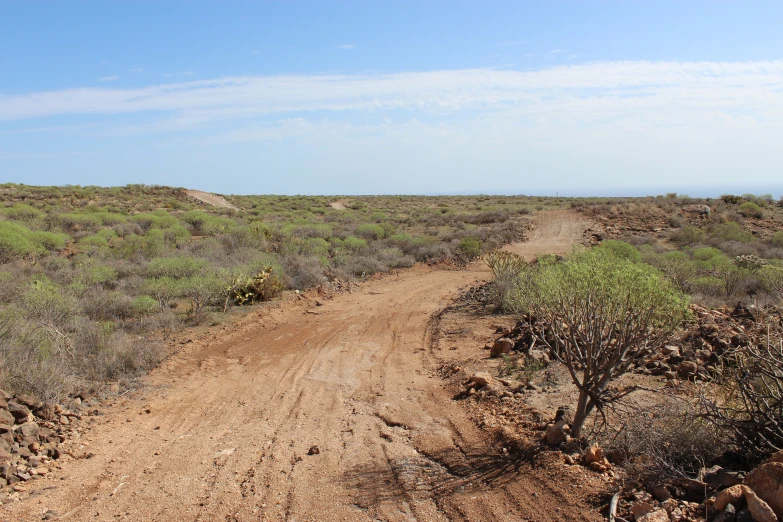 a dirt road in the middle of a desert