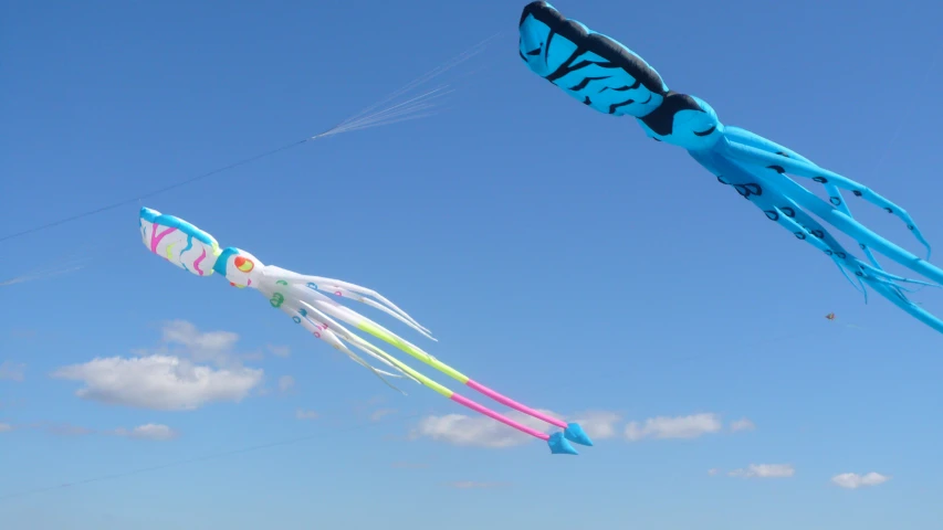 there are several kites that look like squid fish