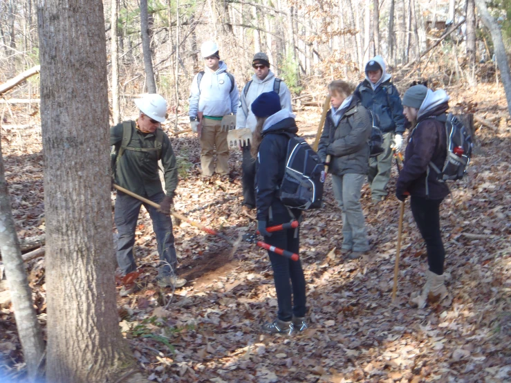 a group of people in the woods with sticks and poles