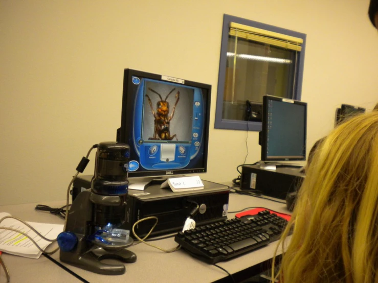 woman looking at computer monitor with camera in foreground