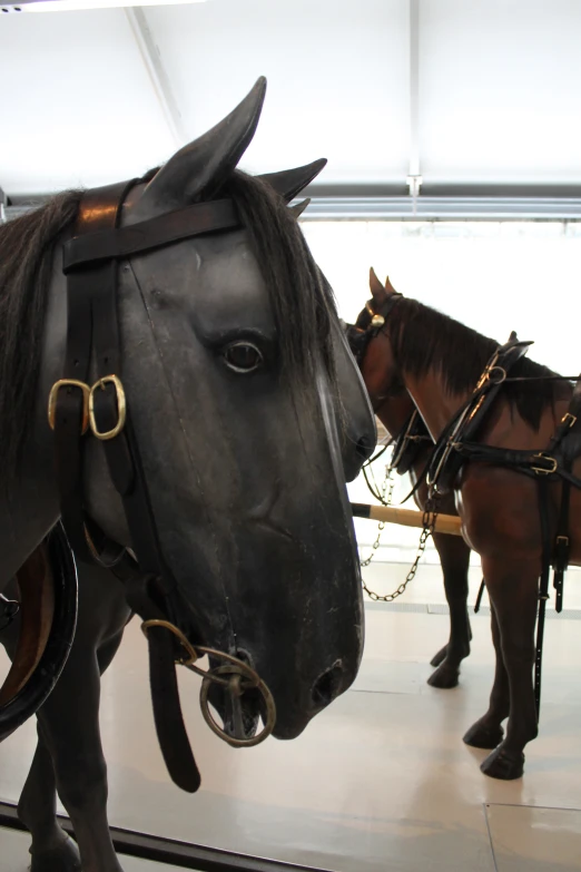 two horses standing next to each other on display
