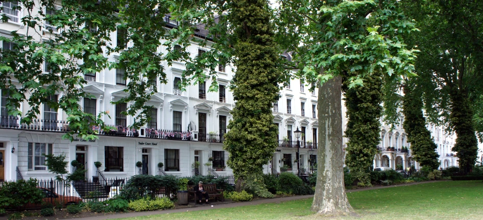 large trees and white buildings in an area with green grass