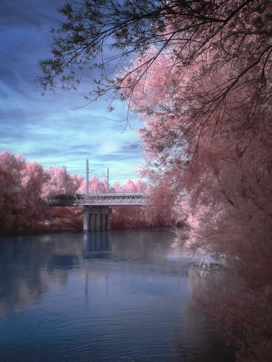 a bridge spans across a river surrounded by pink trees