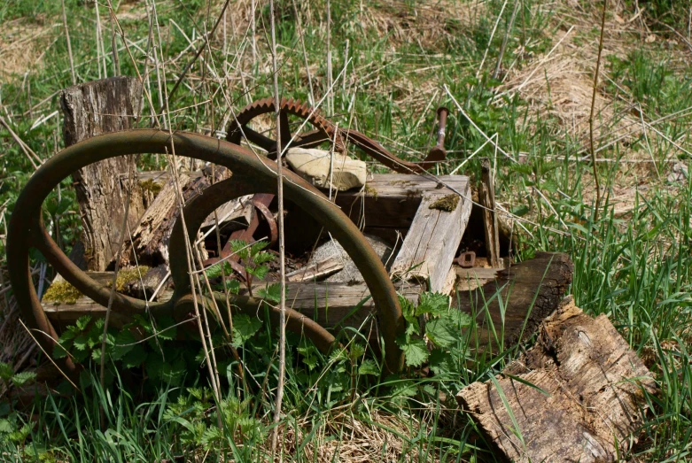 an old tire and tire of a vehicle is in the grass next to a dead log