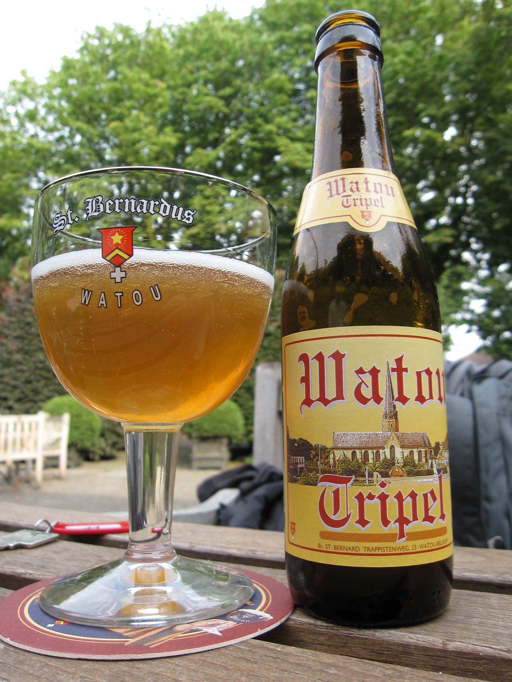 a beer bottle and glass on a picnic table