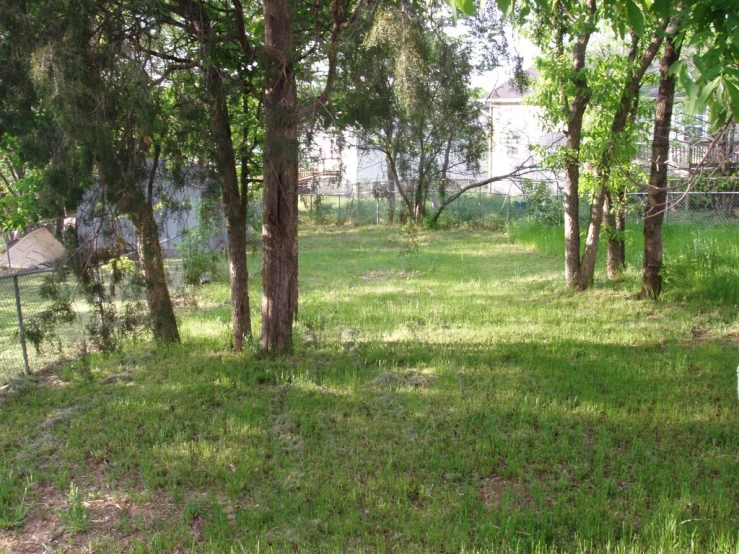 a fire hydrant in the middle of a lawn