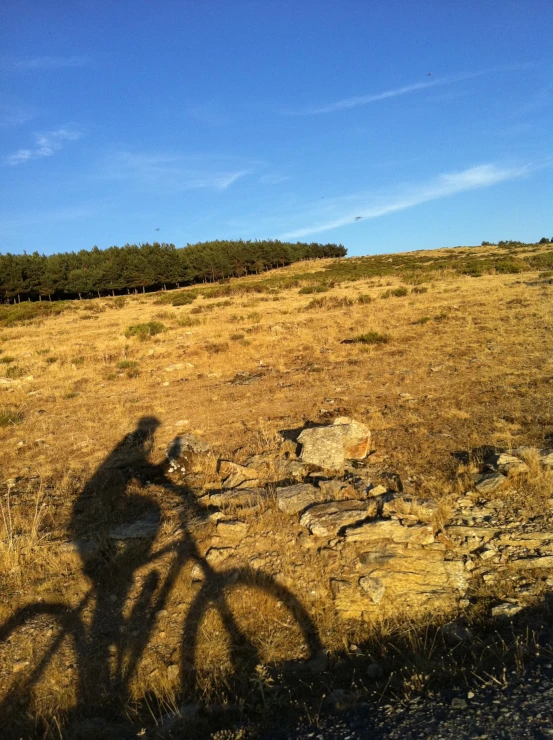 the shadow of a person on a bike