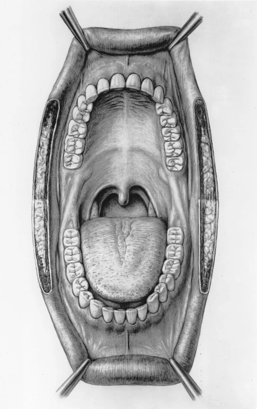 a pencil drawing of a man's mouth