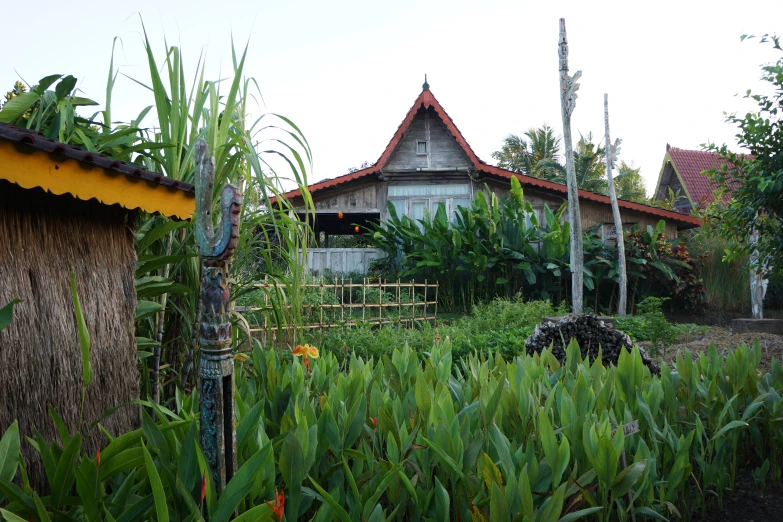 the house has a garden and a fire hydrant in front