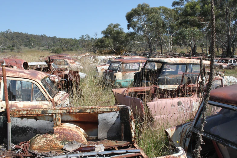 several rusted old trucks sitting in a field