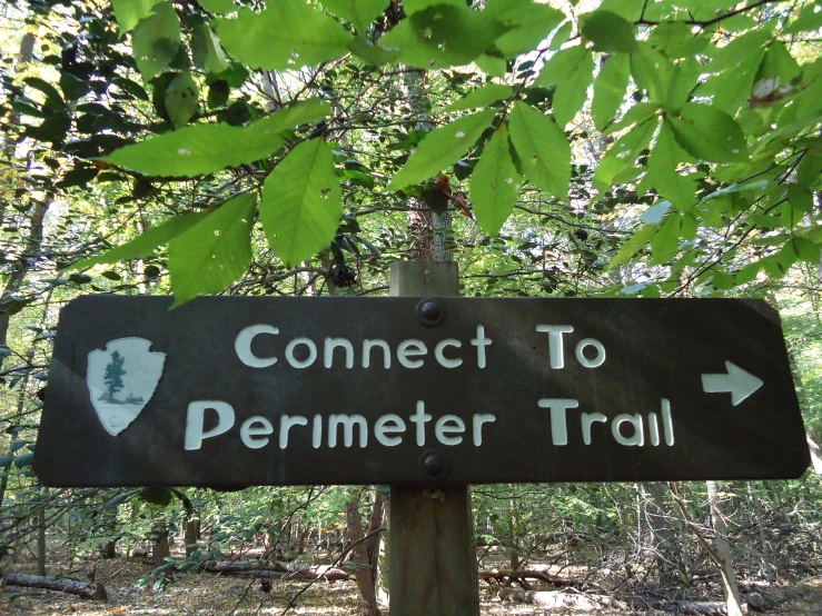 a sign pointing to the center of a forested trail