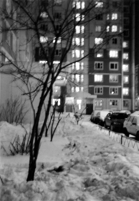 a city in the dark with snow and a tree