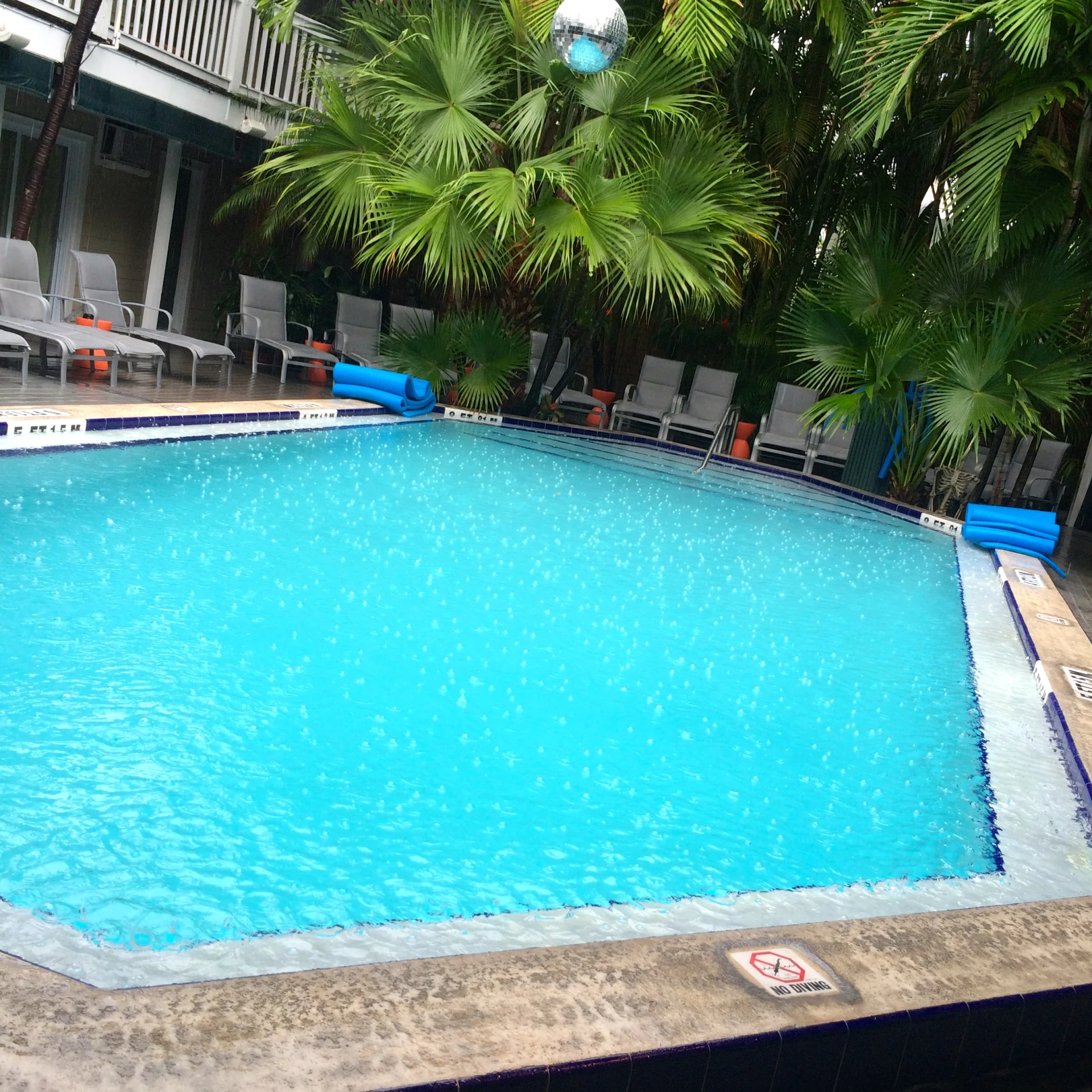 a swimming pool surrounded by tropical plants and chairs