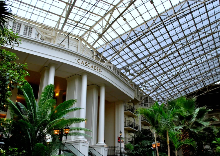 a building has a glass ceiling, palm trees and other greenery