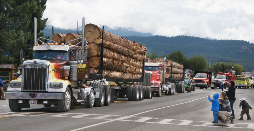 a truck hauling logs down a street, during the day