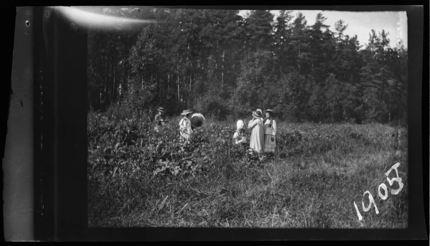 a group of people that are standing in the grass