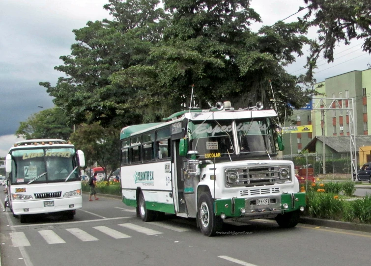 two green and white buses on the street