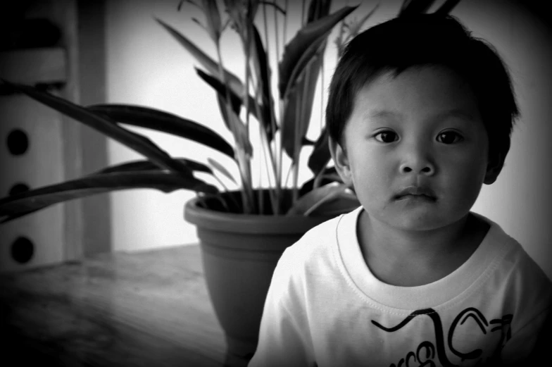 a child wearing a t - shirt and looking at the camera with a potted plant in the background