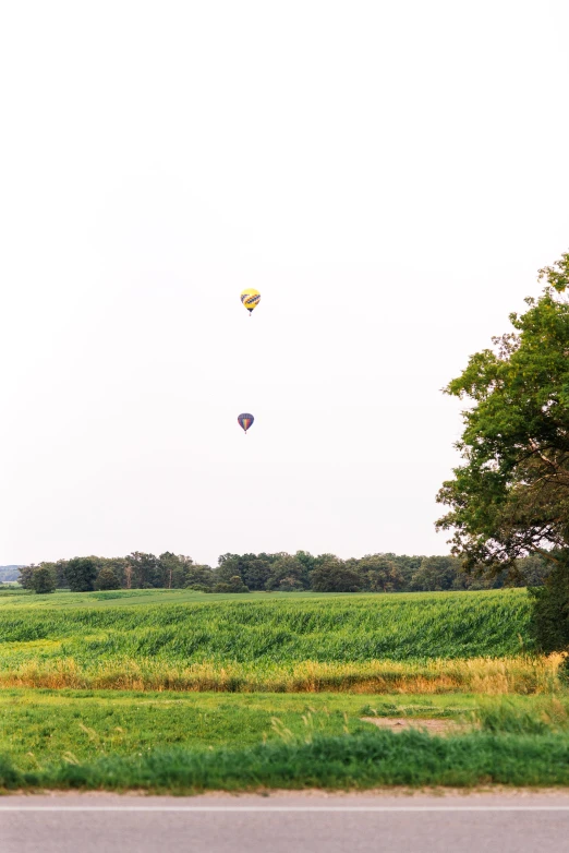 two kites flying in a field near a road