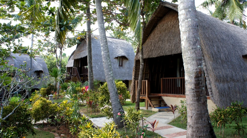 a hut is shown in the woods surrounded by palm trees