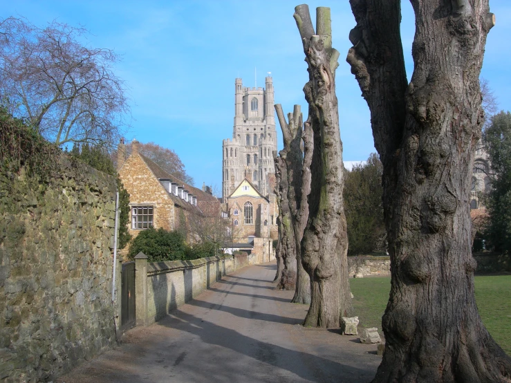 a road with trees on both sides and a church building in the background