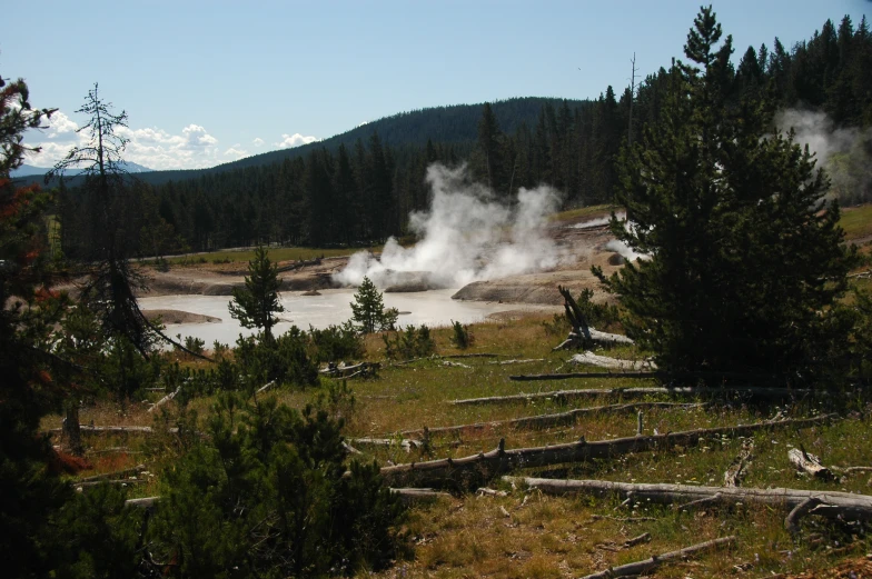 the steam rising out of a pond is surrounded by trees