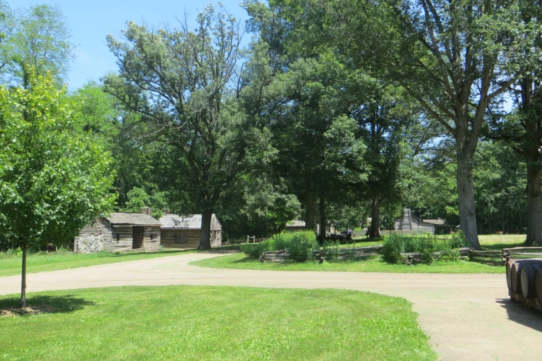 a path in the grass between two trees