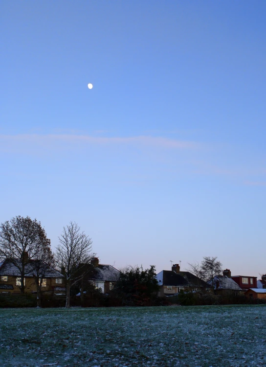 a view from the ocean of houses and trees in the distance