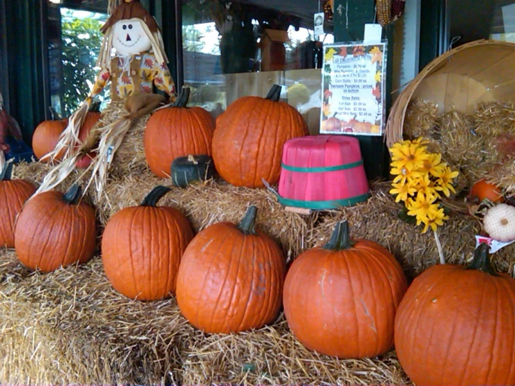 a display case with hay bales filled with pumpkins and gourds