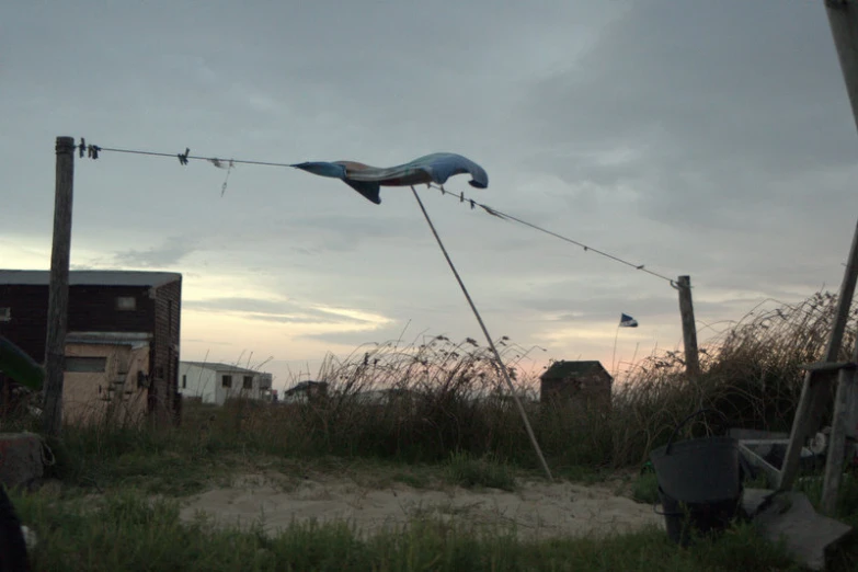 a person flying a kite near a field