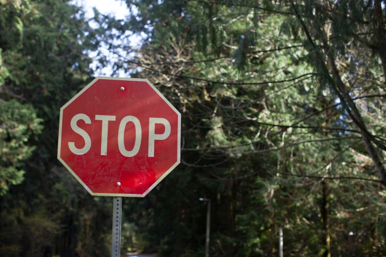a stop sign in front of trees is red and white