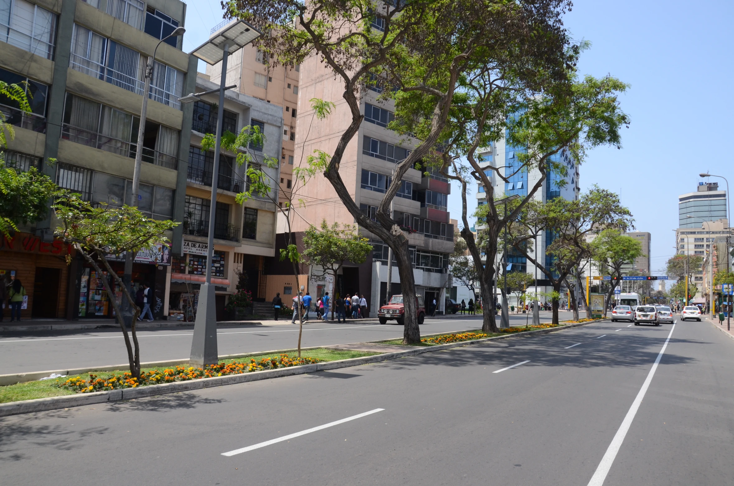 a wide street is lined with trees and parked cars