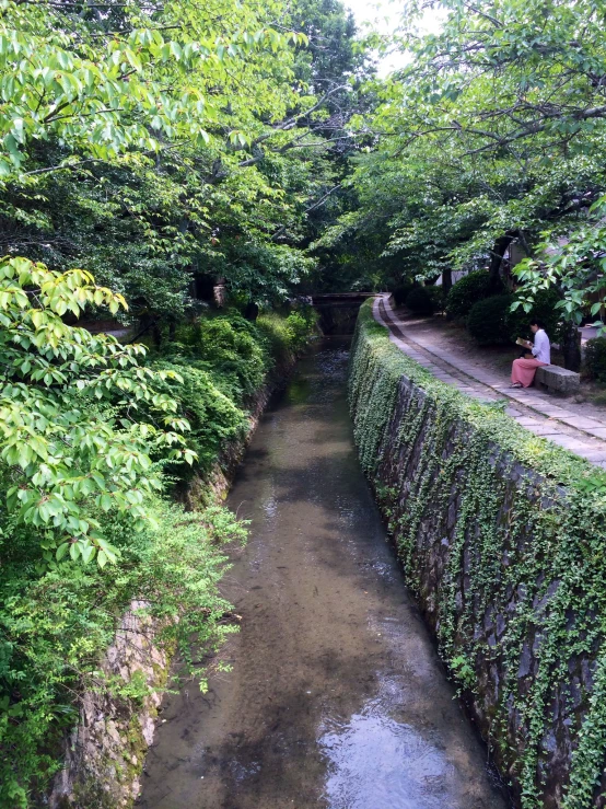 an area that is filled with different types of plants