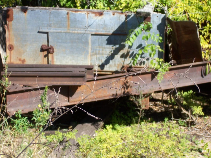 an old rusty trailer overgrown with weeds