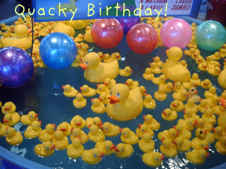 many rubber ducks swimming in water with bubbles