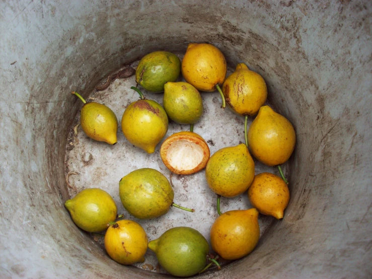 a group of pears sit in a circular, light - colored bucket