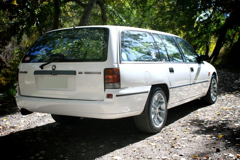 white car parked in a forest on a sunny day