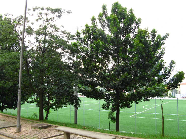 a soccer field behind some trees with the goal in the background