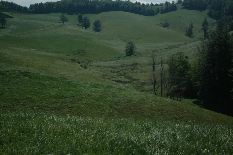 a beautiful valley surrounded by lush green hills