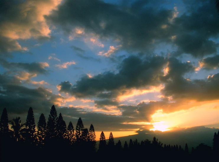 the sun is setting over the forest during daytime