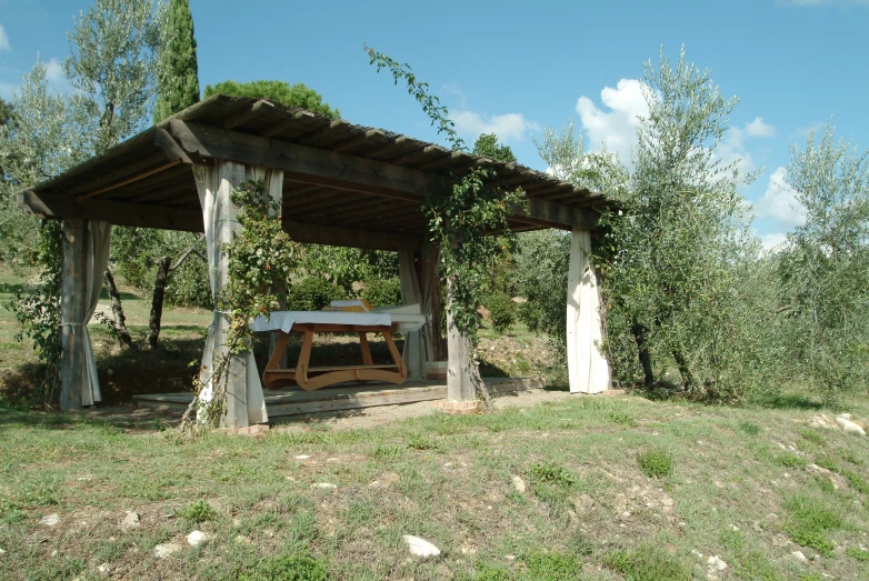 a shelter in the middle of a green forest