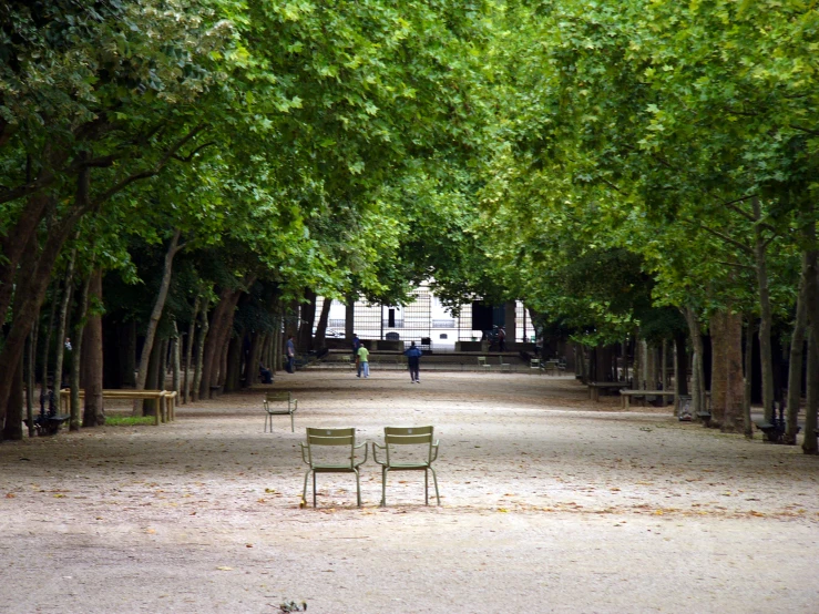 two park benches sit under the trees with the view of a building