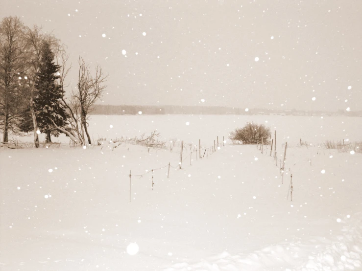 a snow covered field with trees and water behind it